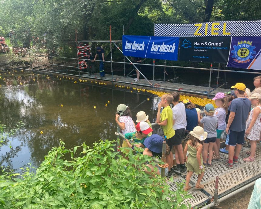 Enten schwimmen zum Rekord-Erlös